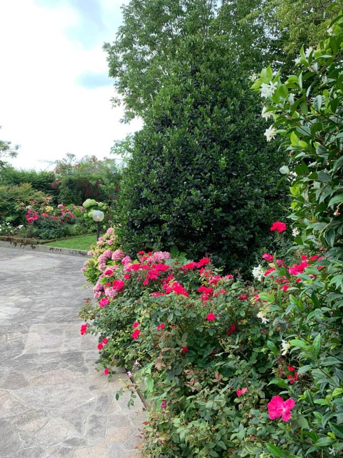 Casa Serenella B&B - Casa Vacanze Piazzola sul Brenta Εξωτερικό φωτογραφία