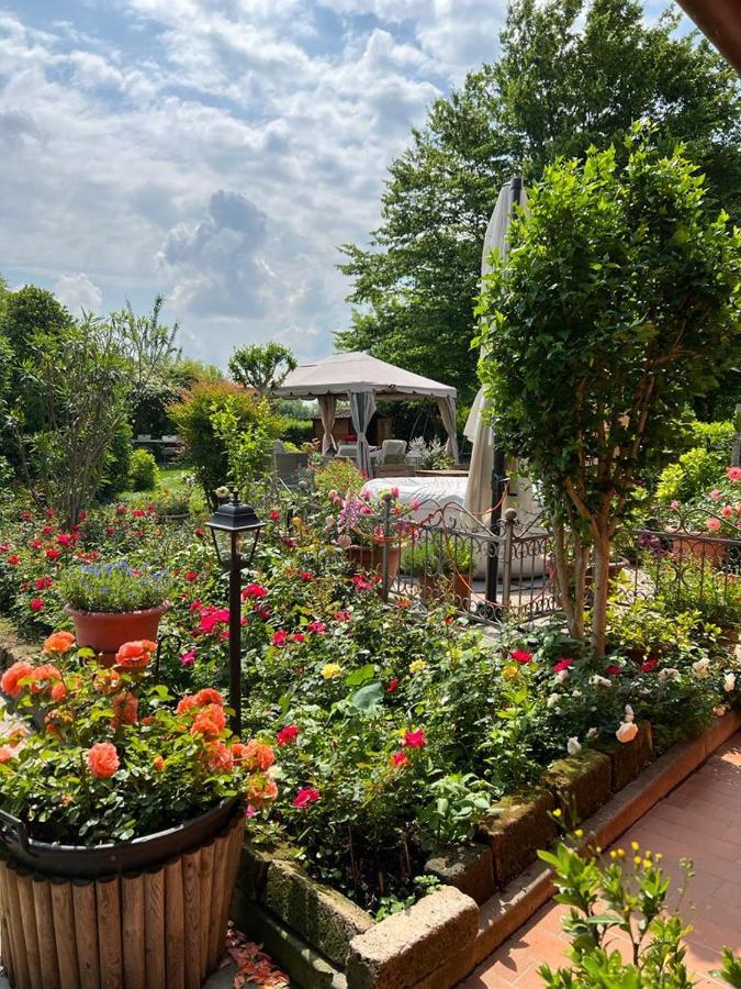 Casa Serenella B&B - Casa Vacanze Piazzola sul Brenta Εξωτερικό φωτογραφία