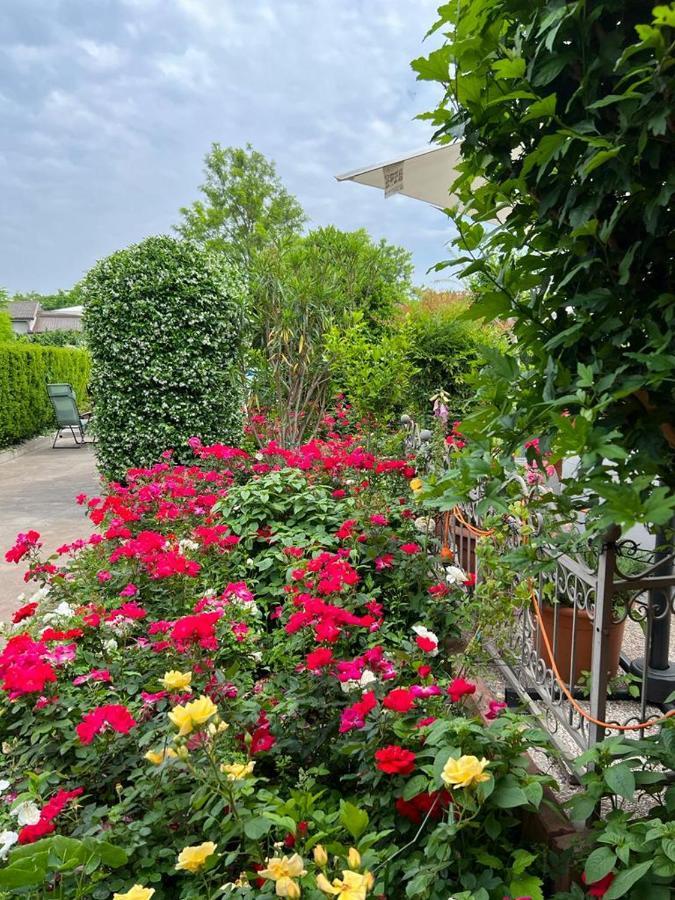 Casa Serenella B&B - Casa Vacanze Piazzola sul Brenta Εξωτερικό φωτογραφία