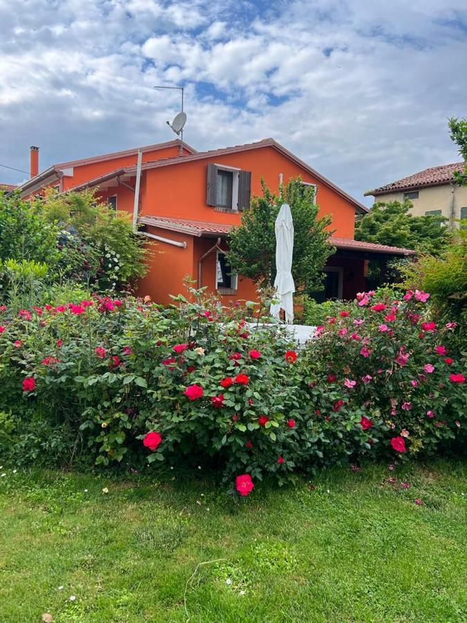 Casa Serenella B&B - Casa Vacanze Piazzola sul Brenta Εξωτερικό φωτογραφία