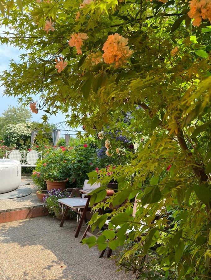 Casa Serenella B&B - Casa Vacanze Piazzola sul Brenta Εξωτερικό φωτογραφία
