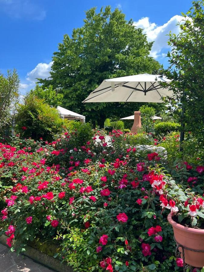Casa Serenella B&B - Casa Vacanze Piazzola sul Brenta Εξωτερικό φωτογραφία
